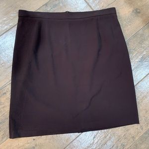 Briggs New York 16W Skirt